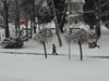 Обилният сняг не създава проблеми в Кърджалийско