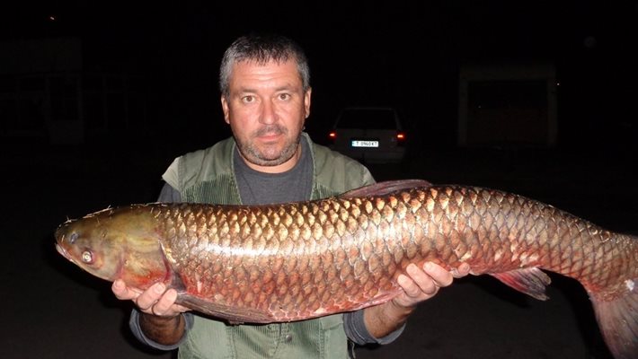 Красимир Иванов показва гигантската риба