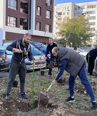 Хората участваха в ентусиазъм в засаждането на дърветата.