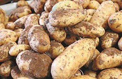 Картофите са поскъпналите с 2,4% на седмична база.