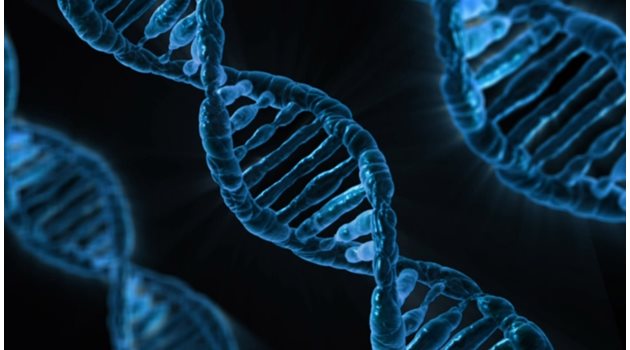 Университета в Аделаида са "конструирали" бактерия, способна да открива мутирала ДНК. Снимка: Pixabay