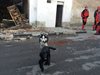 Храна и вода за кучета и котки в Хитрино, гранулите осигури община Шумен и приютът