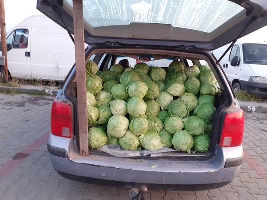 This producer offered his cabbage for 70 cents.  In Plovdiv it is 2 BGN.