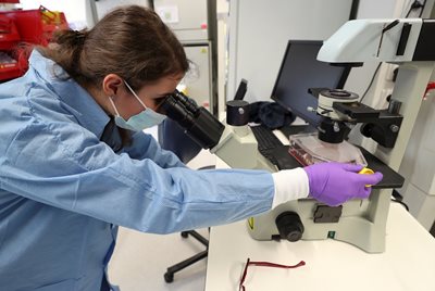 И лаборатория в Белгия работи върху лекарство срещу Ковид-19. СНИМКА: РОЙТЕРС
