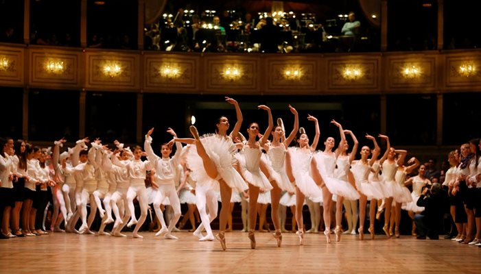 Балетът на Виенска опера репетира за поредния традиционен бал.  СНИМКА: РОЙТЕРС