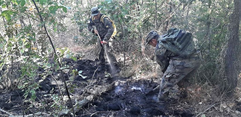 20 военнослужещи и 5 машини оказват помощ при гасенето на пожара в Изворово