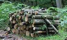 В Каварна задържаха каруца с незаконно отсечени дърва