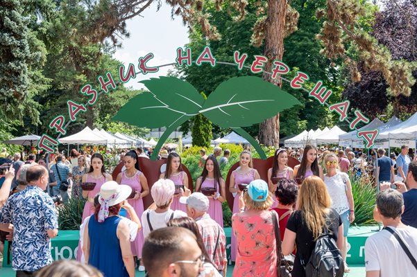 100 сорта череши представиха на празника в Кюстендил
