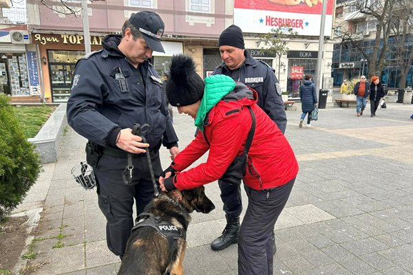 Поставят полицейска жилетка на служебно куче.