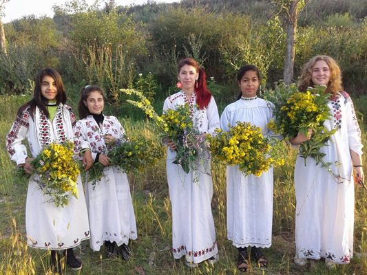 
Рано сутринта се берат лековитите билки