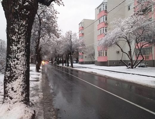 Дежурни екипи обработват възловите места в Пловдив заради снега