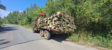 Горски служители спряха незаконен превоз на дървесина