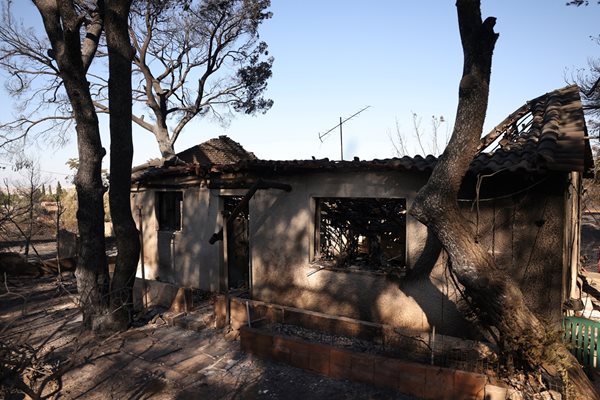 The flames have covered over a hundred thousand acres of forests and low vegetation Photo: Reuters