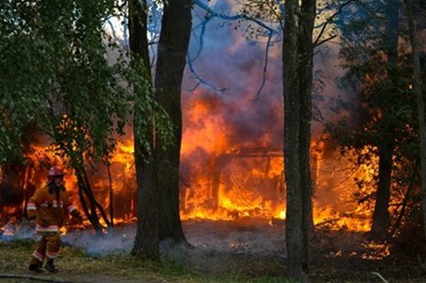 Два вертолета с екипажи от 24-а авиобаза Крумово участват в гасенето на пожара.

СНИМКА: Pixabay