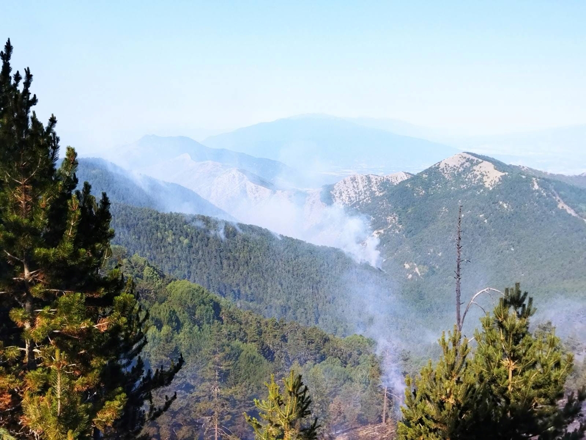 Пожарът от Гърция навлезе на българска територия (видео)