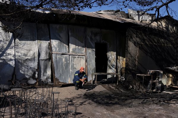 The flames have covered over a hundred thousand acres of forests and low vegetation Photo: Reuters