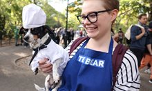 Хелоуински парад за кучета в Ню Йорк