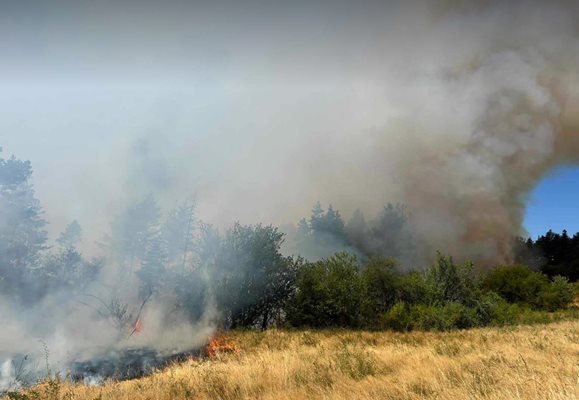 Голям пожар избухна край Самоков, заплашва село Алино
Снимка: Авторът