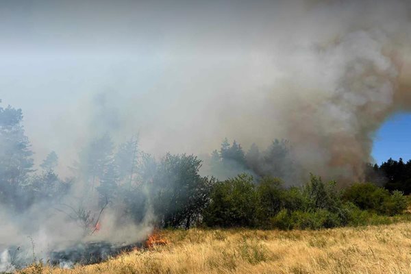 Голям пожар избухна край Самоков, заплашва село Алино
Снимка: Авторът