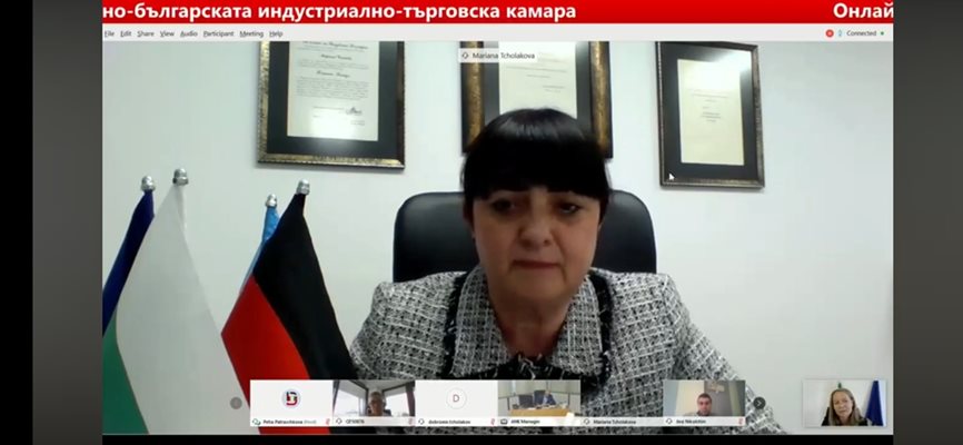 Д-р Мариана Чолакова бе една от участниците в онлайн срещата с Каназирева.