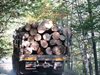 Частни лесовъди тестват електронните билети за превоз на дървесина