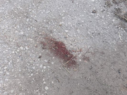 Кърваво петно по асфалта след побоя над Димов