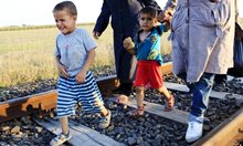 Изкормват деца на бежанци за органи. 12 000 изчезват в Европа