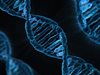 Генните мутации започват скоро след зараждането на живота