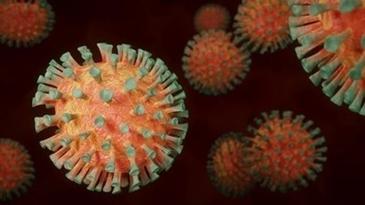 Броят на заразените с коронавирус в света вече е над 20 милиона души СНИМКА: Pixabay