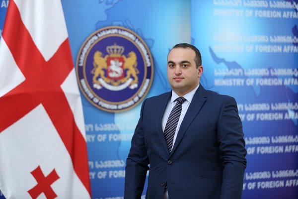 Лаша Дарсалия е заместник министър на външните работи на Грузия от 2018 г. Преди това е бил началник на отдел в грузинската разузнавателна служба (2016-2017) и директор на отдела за сигурност и анализи в Националния съвет за сигурност на Грузия (2009-2016). Завършил е международни отношения в университета на Есекс.