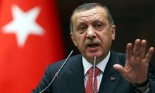 Ердоган да си подреди собствената държава