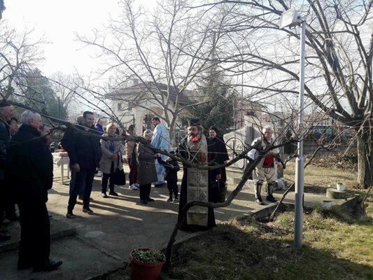 Десетки жители и гости на с. Черниче зарязаха лозята на Трифон Зарезан. СНИМКА: ОБЩИНА СИМИТЛИ