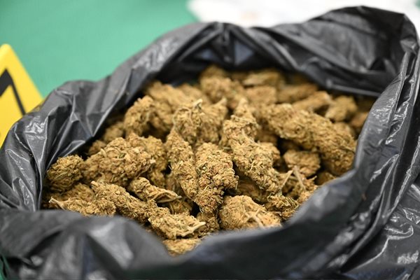 Близо 9 кг марихуана, около 500 гр кокаин и килограм и половина амфетамин са иззети от 35-годишен мъж от Добрич СНИМКА: Орлин Цанев