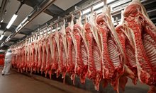 Консумацията на месо с антибиотици води до резистентност