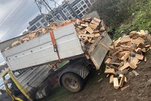 Затвориха склад за дървесина в Самоковско след проверка на агенция по горите