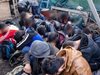 Гранични полицаи от Бургас задържаха 31 незаконни имигранти заедно с предполагаемия каналджия
