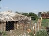 Съдът бетонира глоба за отглеждане на кози в Пловдив