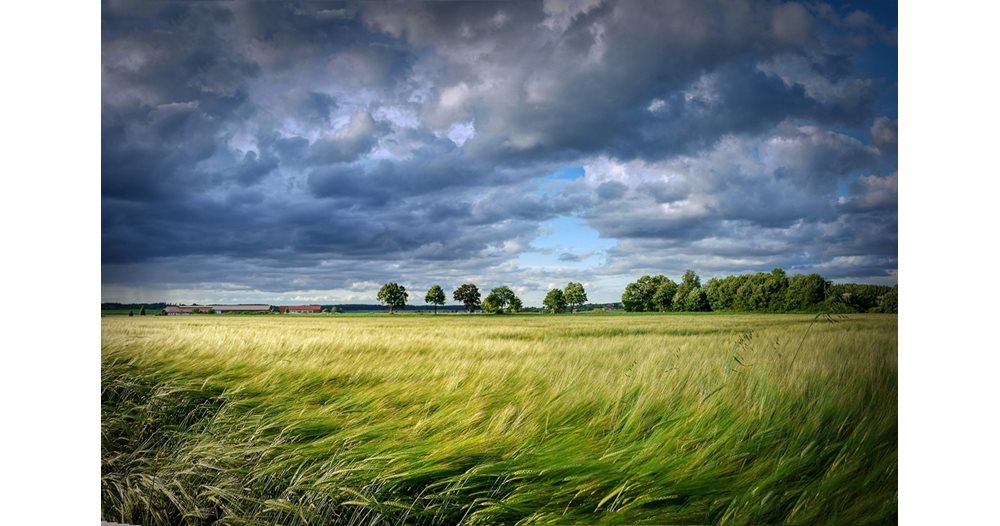 Flere titalls tog og ferger i Nord-Europa er kansellert på grunn av en kraftig storm