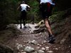 Въвеждат организация на движението в София заради планинско бягане