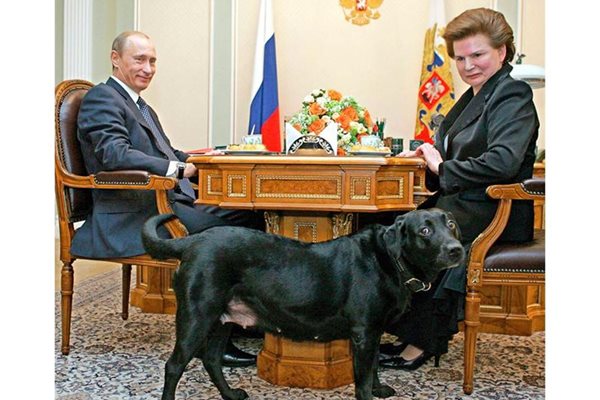 Любимият лабрадор Кони се разхожда в кабинета на Владимир Путин, който разговаря с първата руска космонавтка Валентина Терешкова.
СНИМКИ: РОЙТЕРС