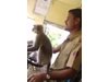 Маймуна кара автобус с 30 пътници в Индия (Видео)