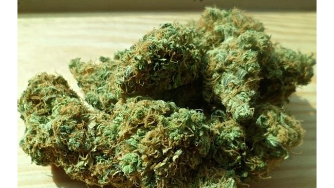 в уругвае разрешили марихуану