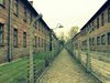 В Аушвиц ще отдадат почит на синти и роми, жертви на Холокоста