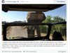 Слон подгони Арнолд Шварценегер в Африка (видео)