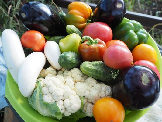 Зеленчуците с различни цветове ни зареждат с различни вещества и минерали. 
СНИМКА: ПИКСАБЕЙ