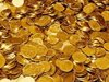 Иззеха незаконни антики и монети в плевенско село