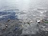 Средиземно море може да се превърне в "море от пластмаса"