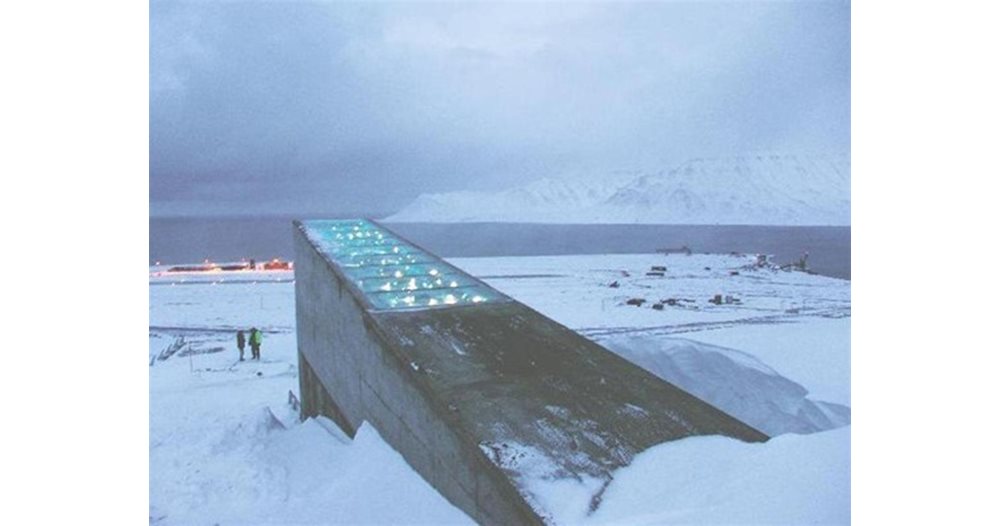 Det arktiske depotet på øya Svalbard venter på nesten 20 000 nye sjeldne frø