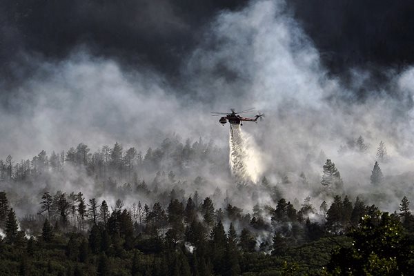 Над 500 огнеборци, войници и доброволци, три самолета и четири хеликоптера участват днес в усилията за овладяване на пожари северно от Атина Снимка: Pixabay