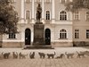 Арт инсталация "Котки върху покрива" 
откриват върху Веселата къща в Габрово